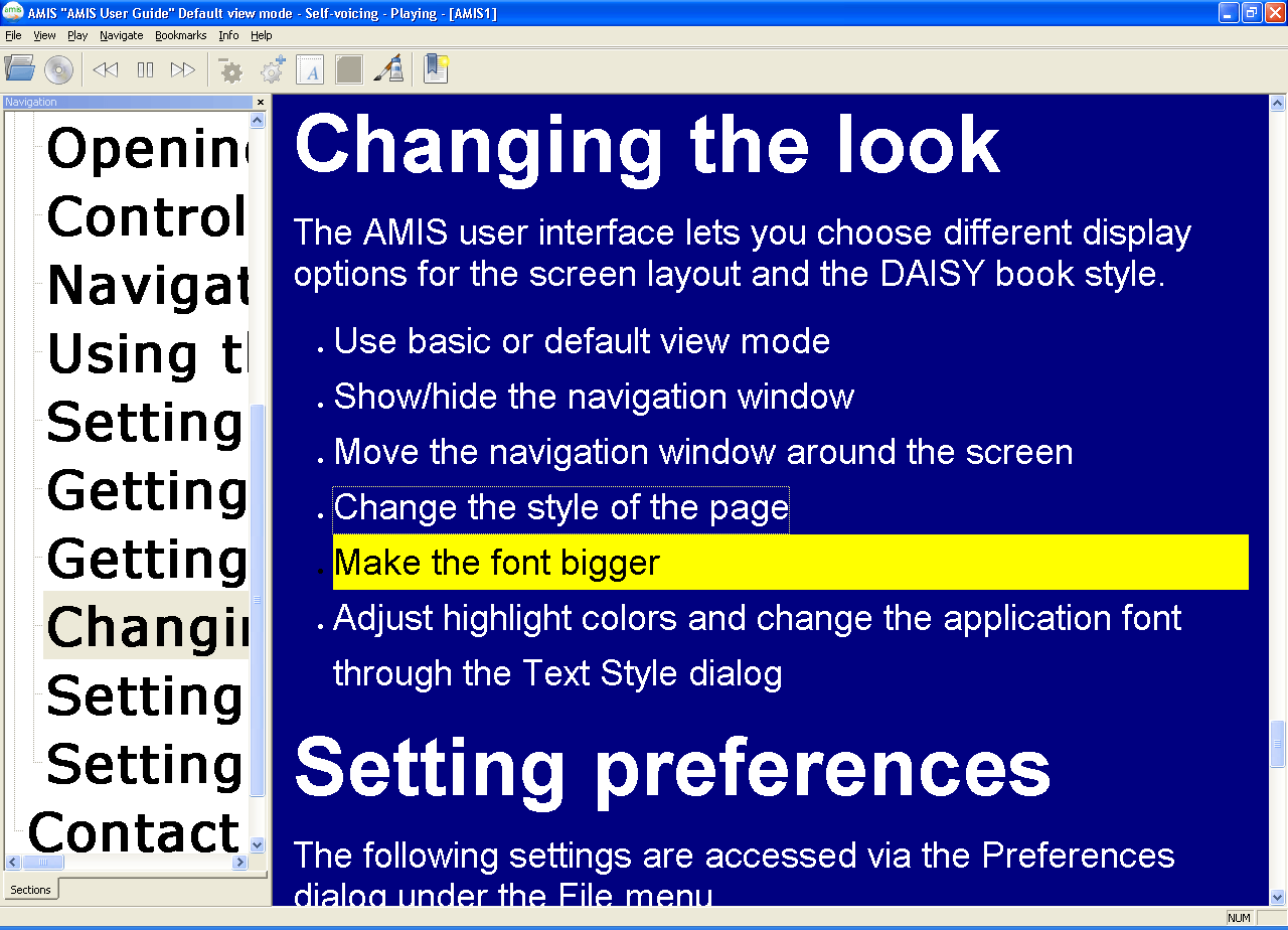 Customizing Font Size