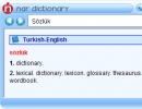 Turkish to English