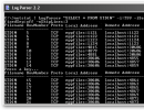 Parsing the stdin (NetStat) and outputting to console