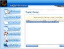 Registry Backup Section