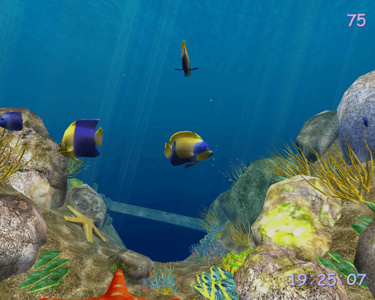 Realistic underwater world