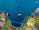 Realistic underwater world