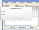 Adding new registry entry 