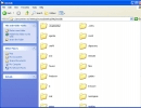 Files Window
