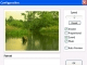 Forest Screensaver