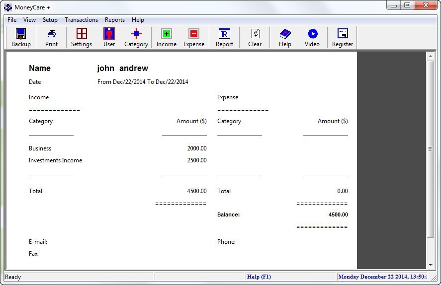 Report Data Window