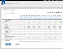 Sales Analysis Window