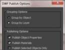 Publishing Options Window