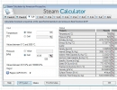 Steam Calculator screenshot