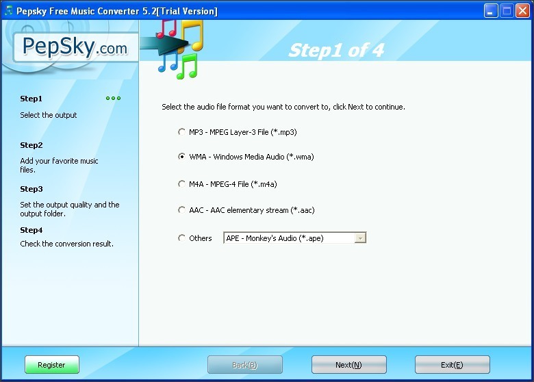 Output Format Selection