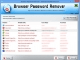 Browser Password Remover