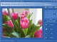 Desktop Calendar and Personal Planner