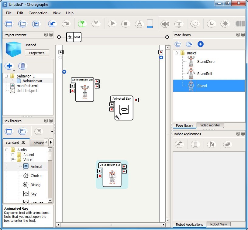 Project Window