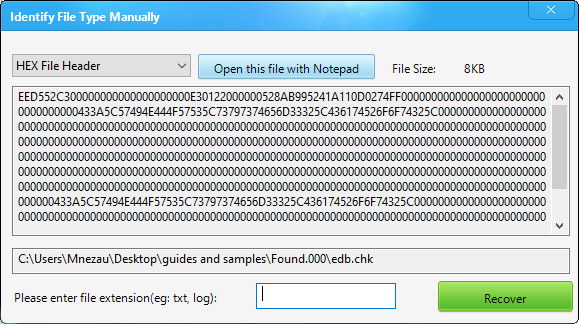 Manual File Type Identification