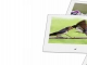 Desktop Bird Screensaver