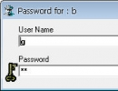 Password Window