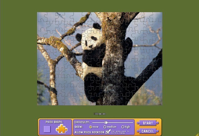 Panda puzzle of 140 pieces