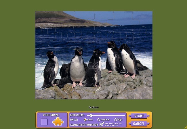Penguins puzzle of 24 pieces