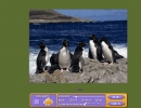 Penguins puzzle of 24 pieces