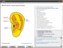 Auricular accupoints