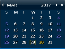 Calendar Window