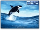 Orca Browser