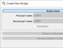 Creating New Bridge
