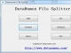 DataNumen File Splitter
