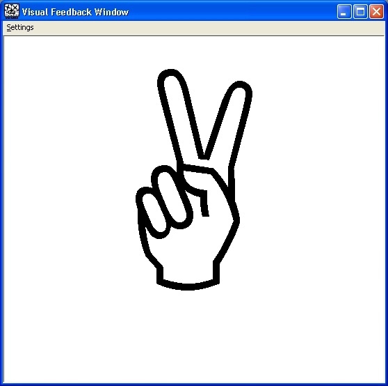 Visual Feedback Window