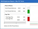 Ram Optimizer Report