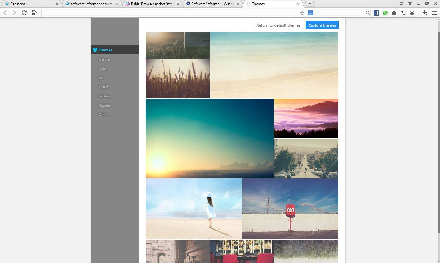 Baidu Browser Themes window