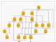 NOV Diagram for .NET