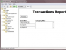 Transactions Report