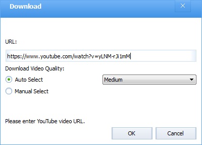 YouTube Downloader