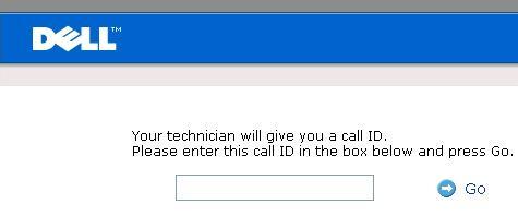 Input code provided by Dell Technician via phone