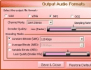 Output audio formats