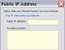 Public IP address