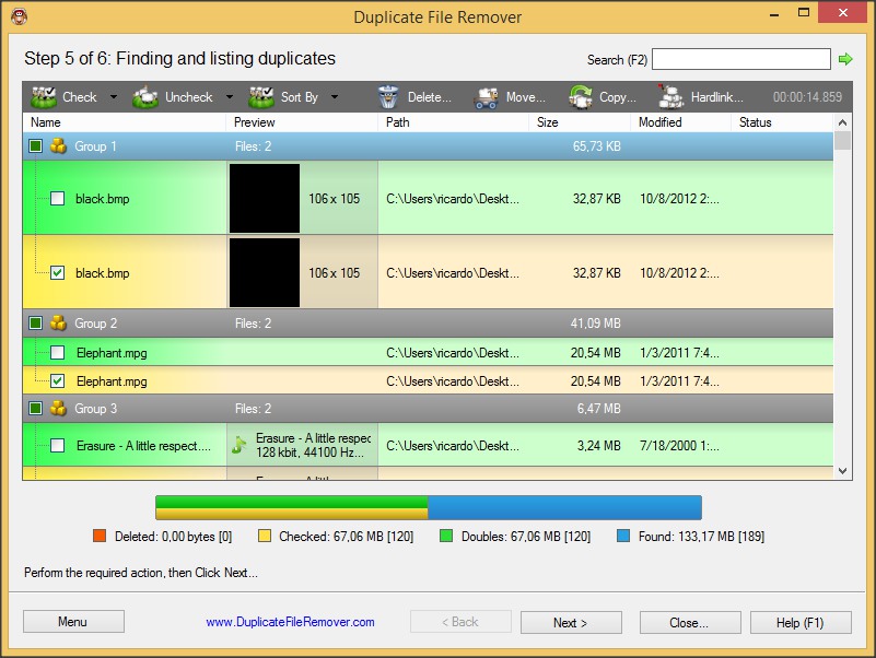 Duplicate Files List