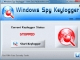 WindowsSpyKeylogger