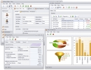 Windows Forms UI (1) created by XAF (built-in KPI, Dashboard, Chart, PivotGrid, Scheduler, Reporting, ConditionalAppearance, Security, Validation, etc. modules are demonstrated here)