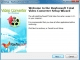 Rayfoxsoft Total Video Converter