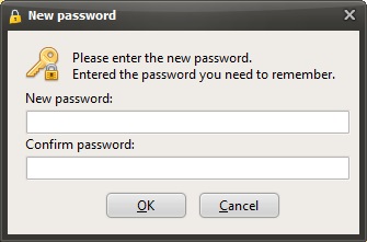 New password