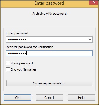 Password Protection Window