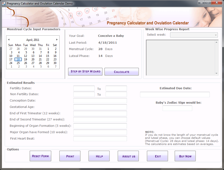 Pregnancy Calculator & Ovulation Calendar