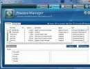 Process Manager