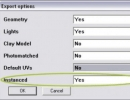 export option window
