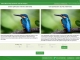 Black Bird Image Optimizer