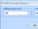Mp3 format options