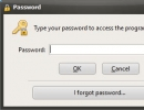 Entering Master Password