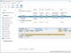 NIUBI Partition Editor Professional Edition